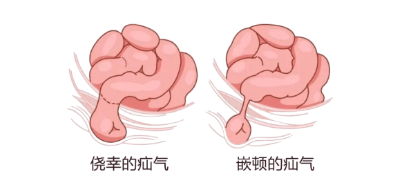 微信图片_20240816141136.png