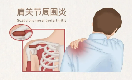微信图片_20240926150646.png