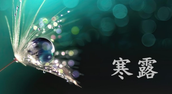 微信图片_20241008153758.png