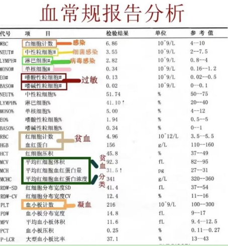 微信图片_20241203103437.png