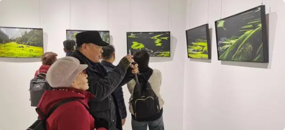 屏幕截图 2024-12-17 093231.png