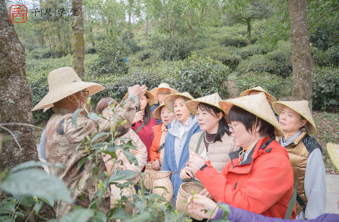 屏幕截图 2026-04-15 113857.png